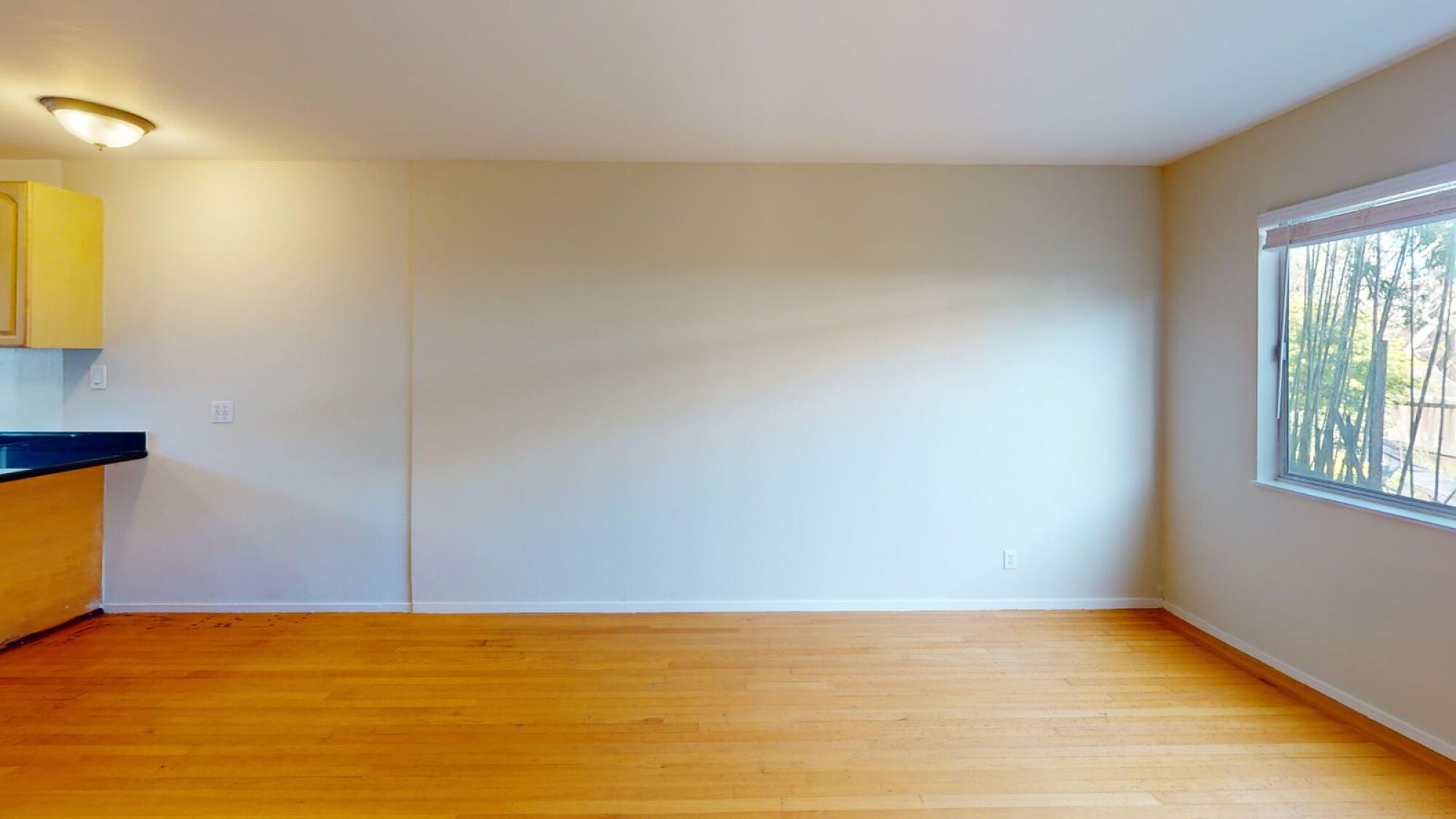 A room with wooden floors and a window showing trees outside.