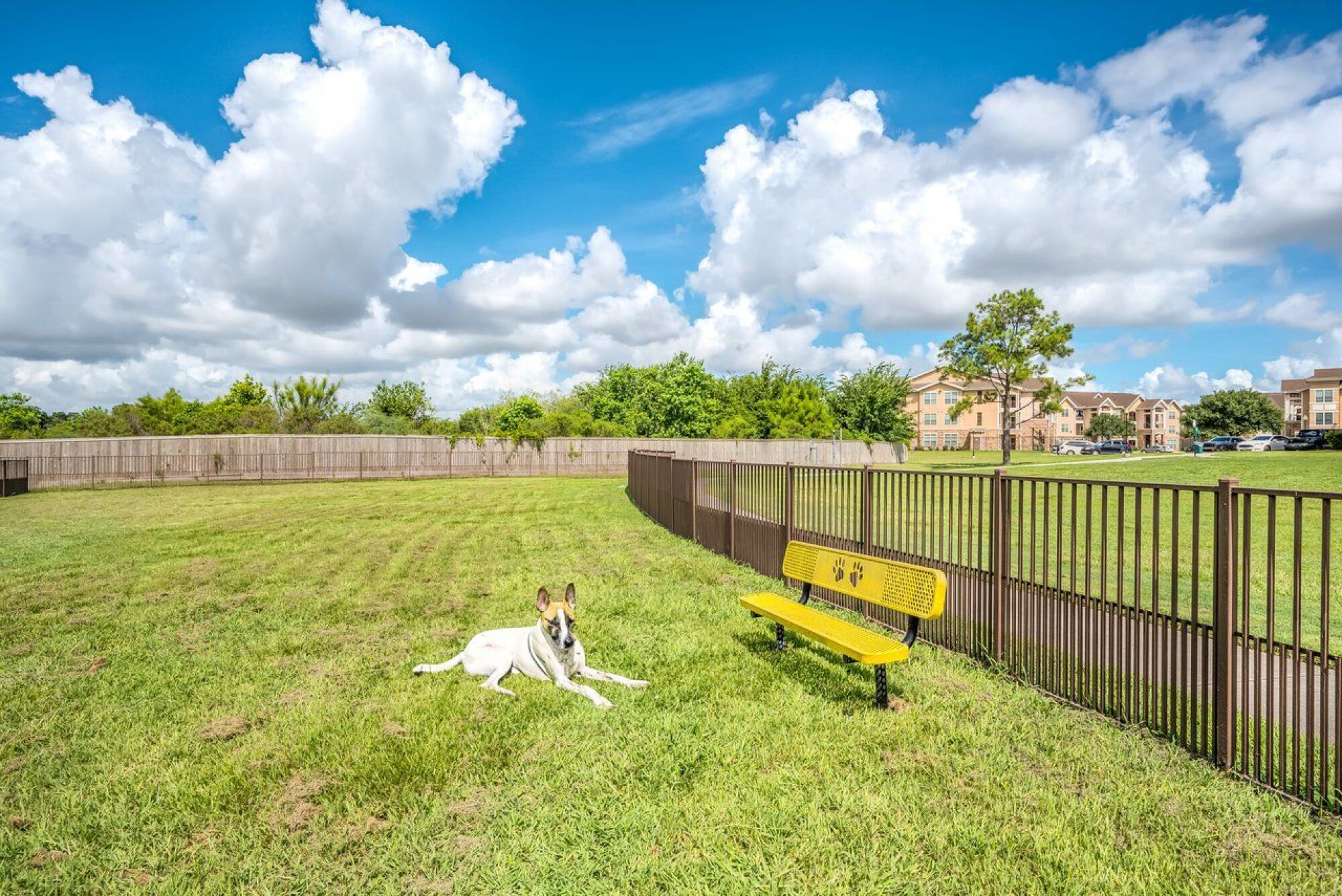 Bark Park