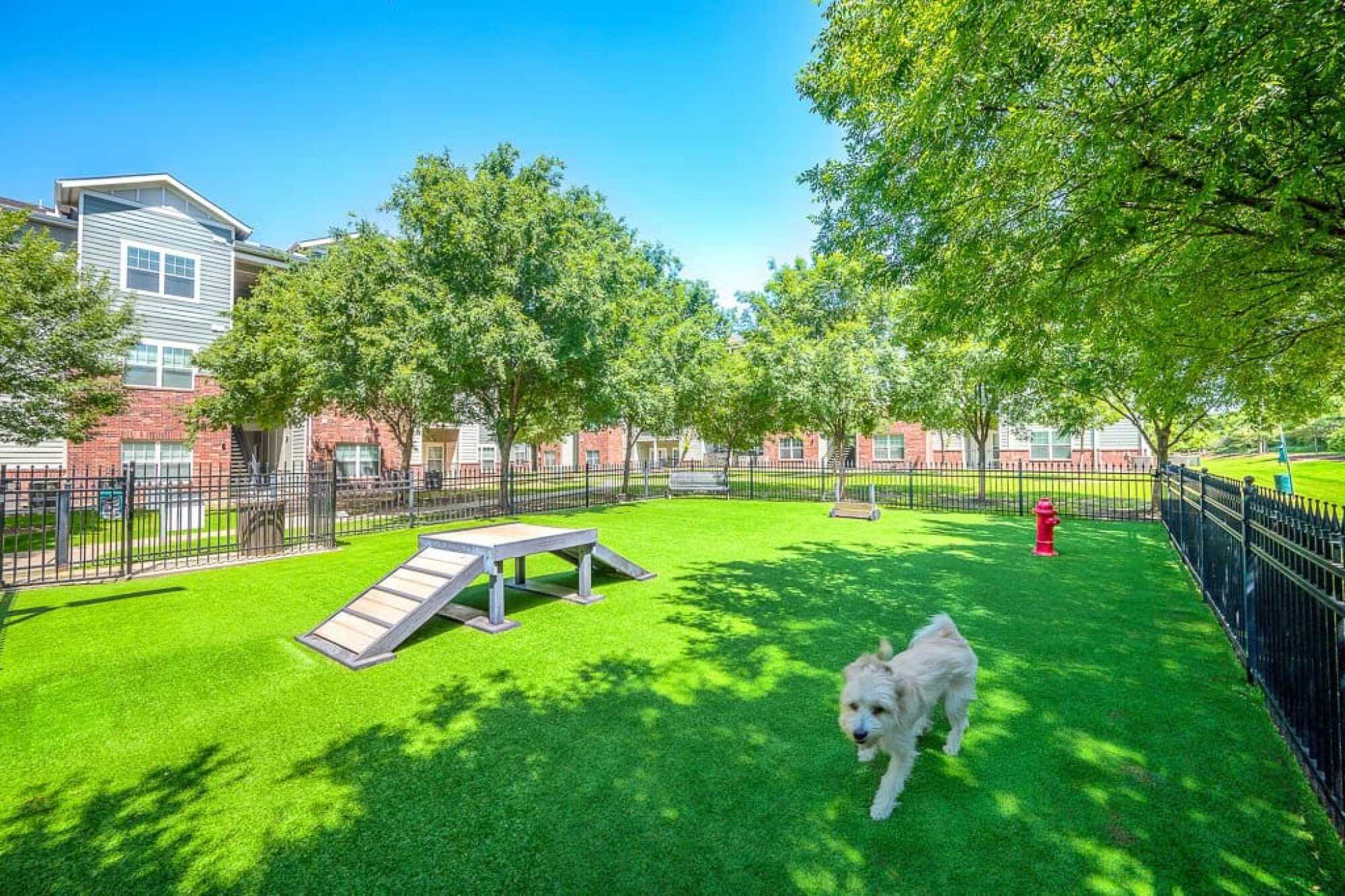 Bark Park