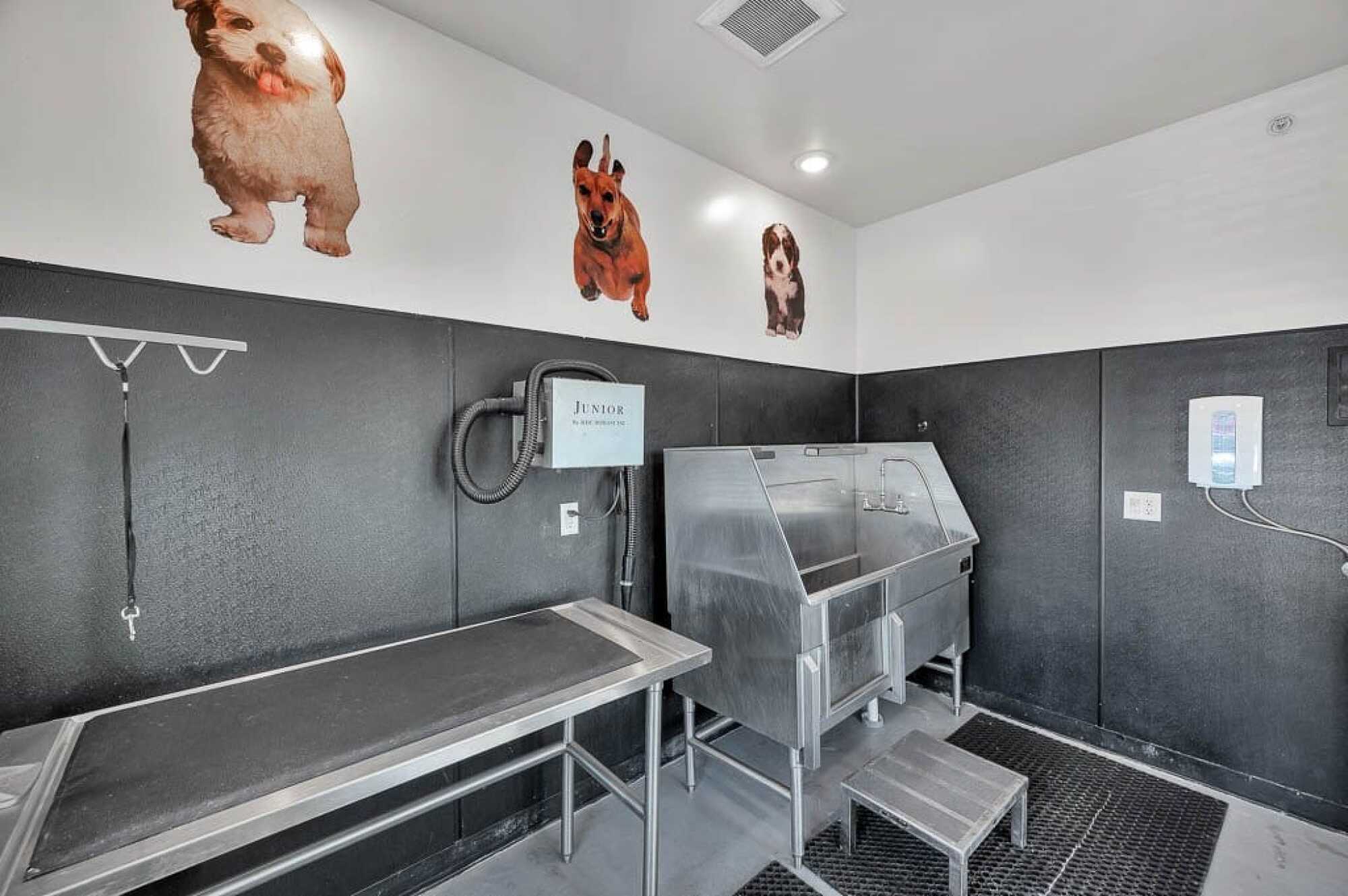 Pet Wash Station