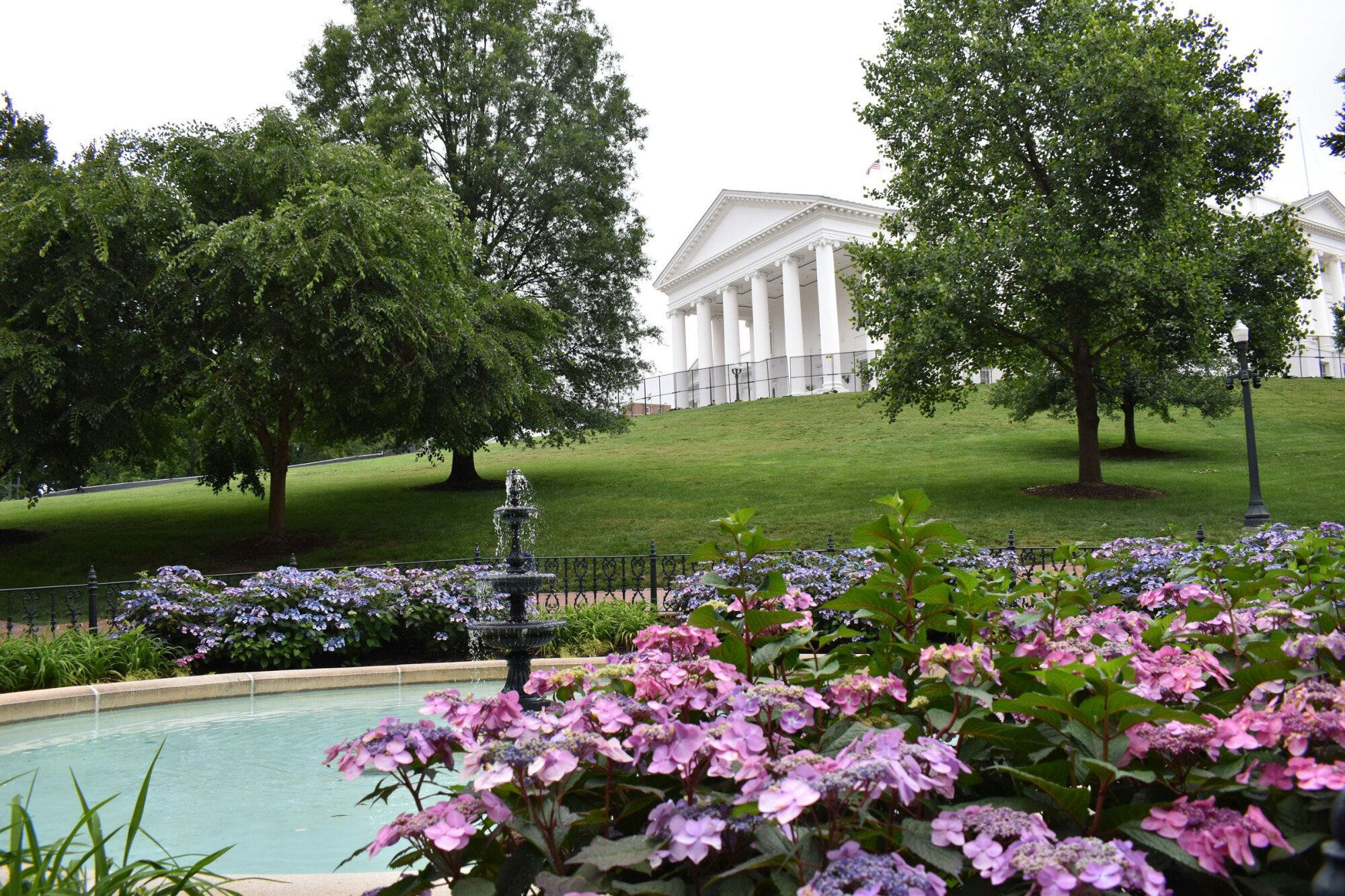 A fountain with pink and purple flowers in front of a white columned building and trees on a grassy hill.