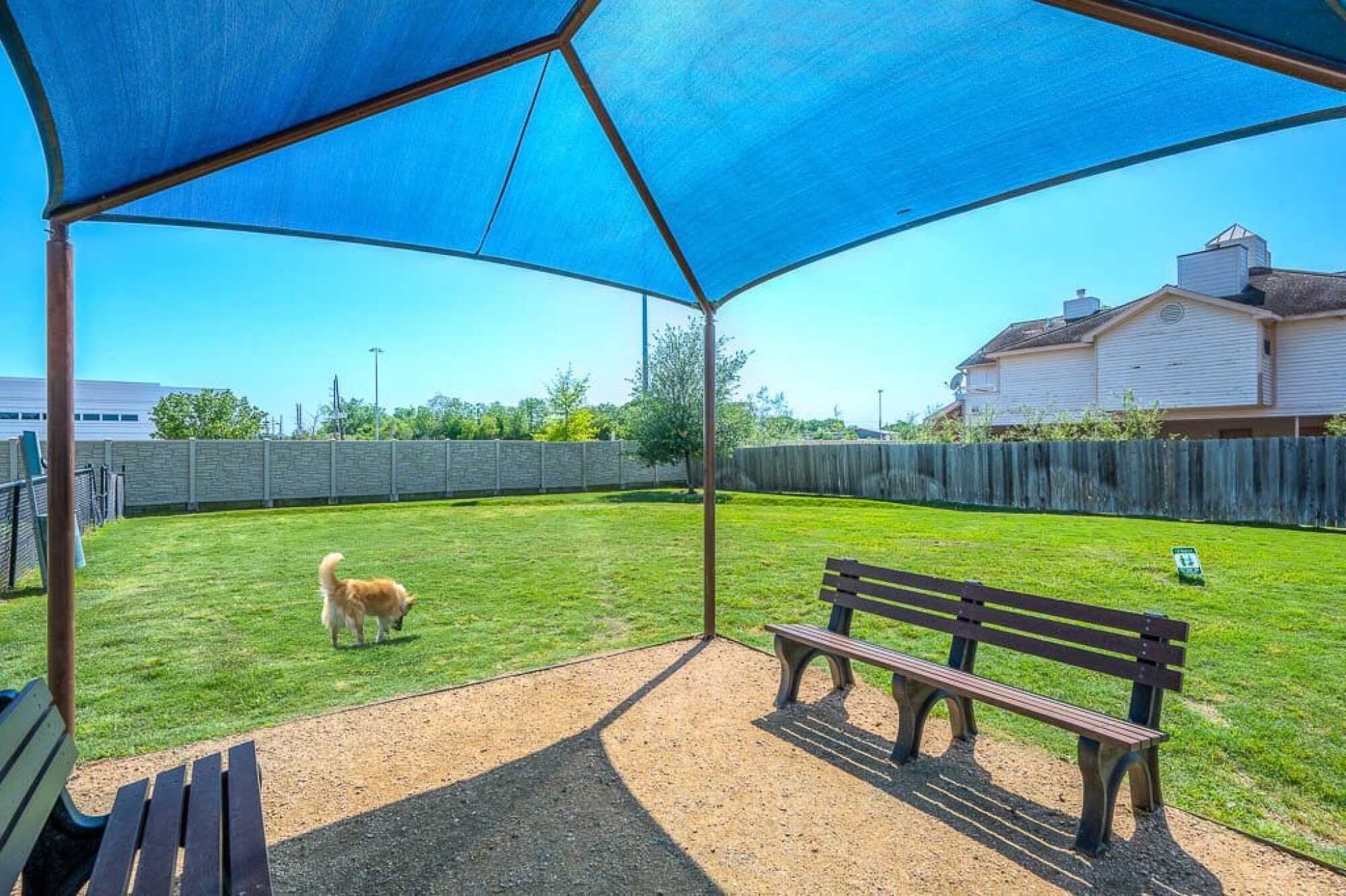 Bark Park