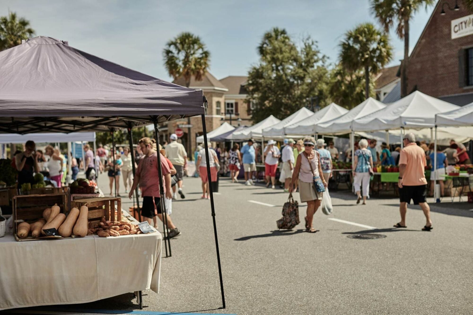 Weekend farmers market near Linden Village with local vendors, fresh produce, and a welcoming community atmosphere.