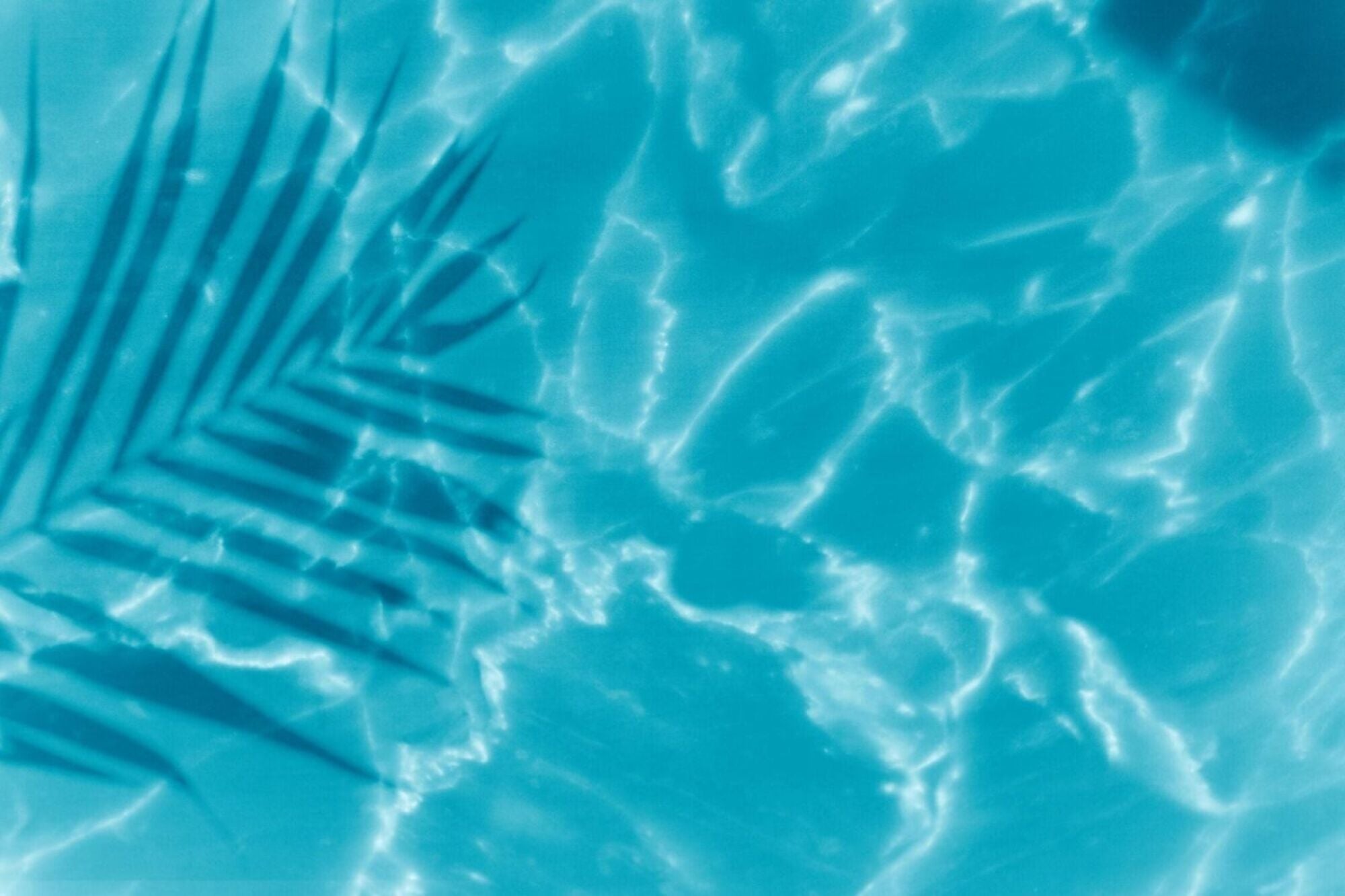 Sunlit water with a palm leaf shadow on the surface, creating patterns of light and shade.