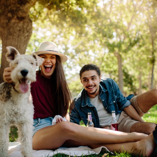 A man and woman are sitting on a blanket with a dog in a park.