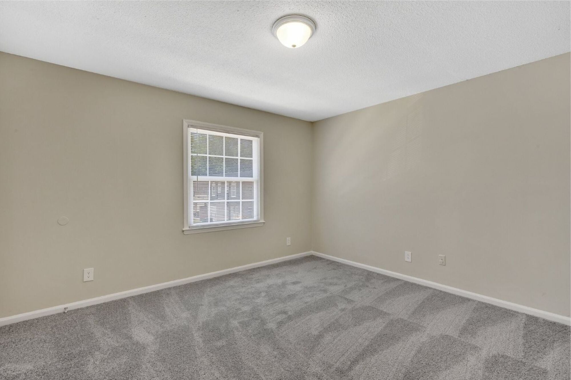 Carpeted guest bedroom at Townes at University in Charlotte, NC, with a bright window, overhead light and fresh neutral paint.