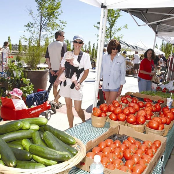 Farmer's Market