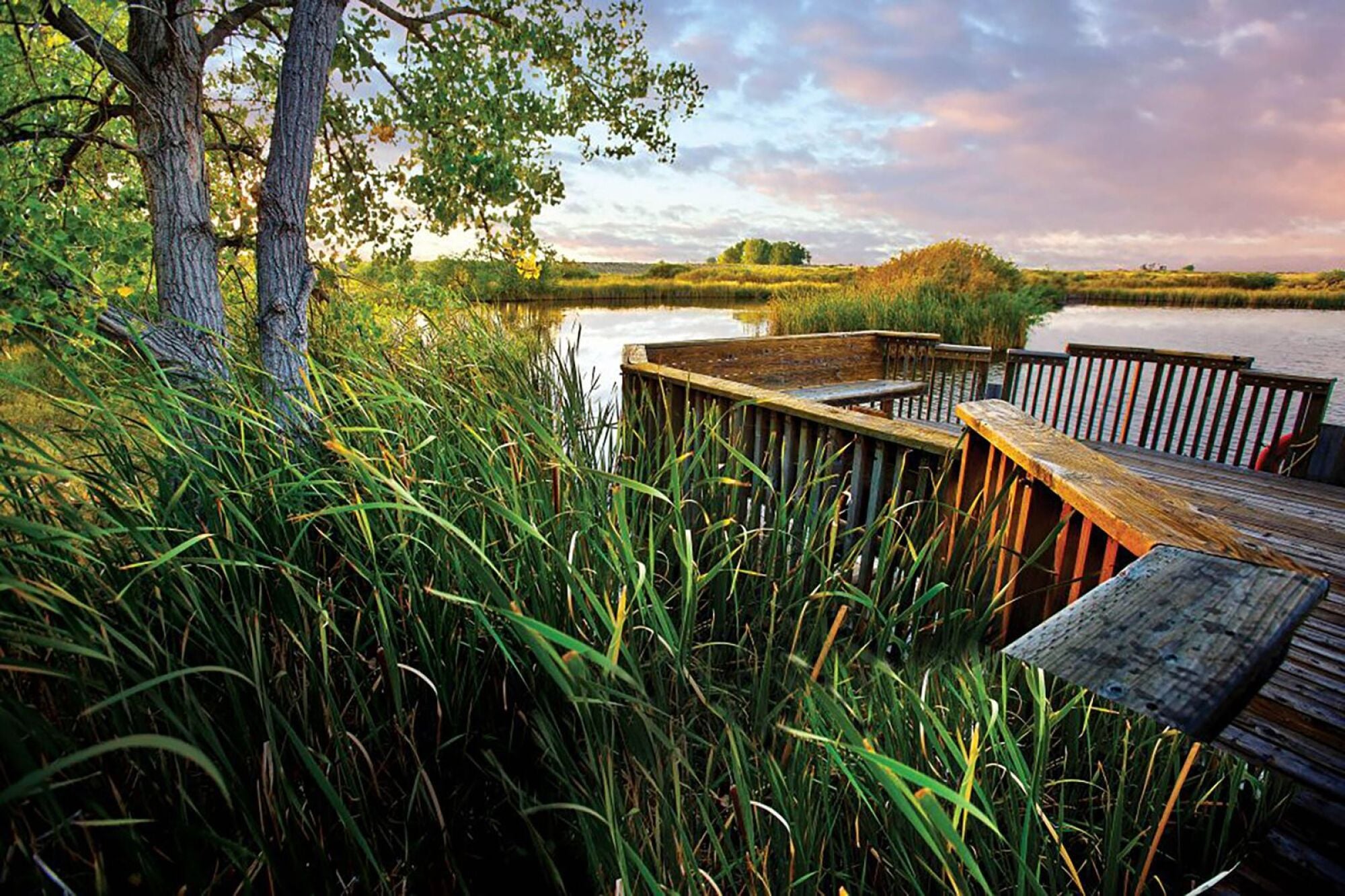 Rocky Mountain Arsenal Wildlife Refuge with grasslands and marshes