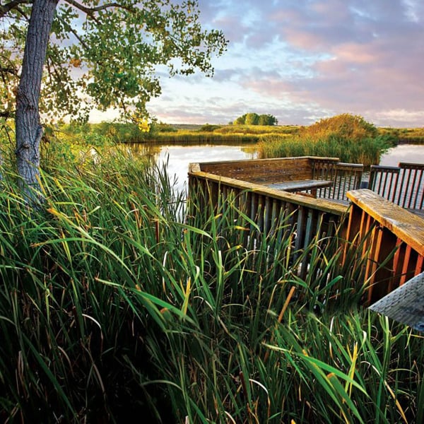 Rocky Mountain Arsenal Wildlife Refuge