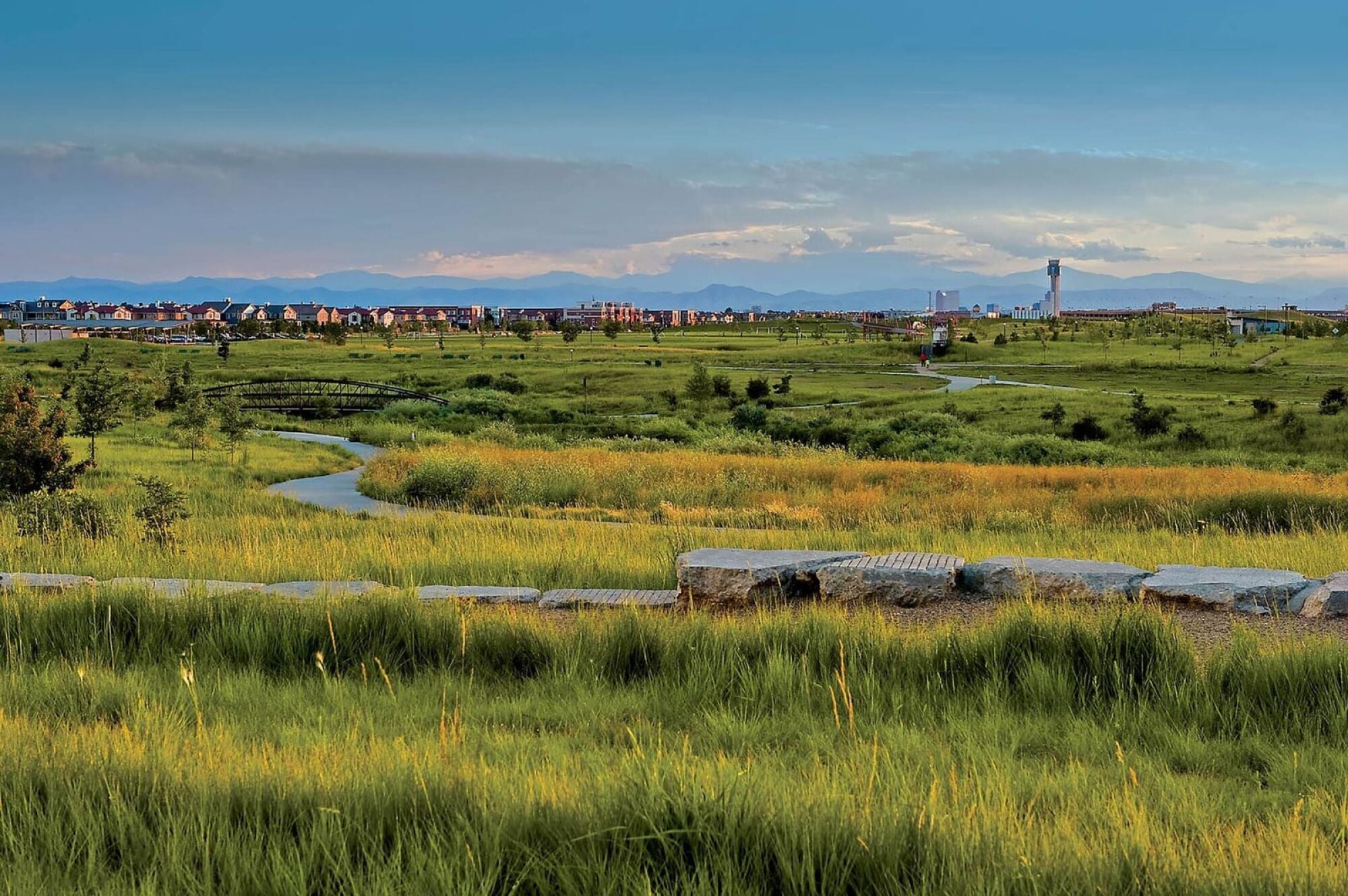 Trails through natural grasslands with residential community and Rocky Mountains in the background