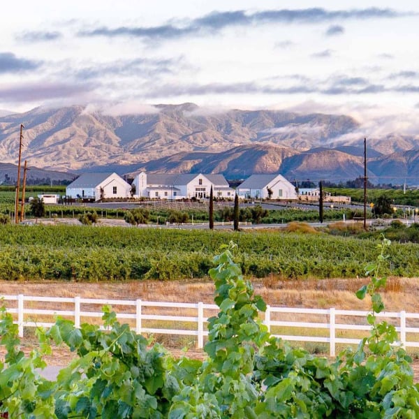 Wine Country