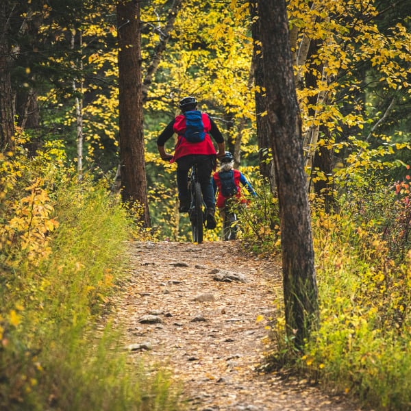 Abundant Trails