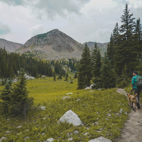 Backcountry Wilderness Area