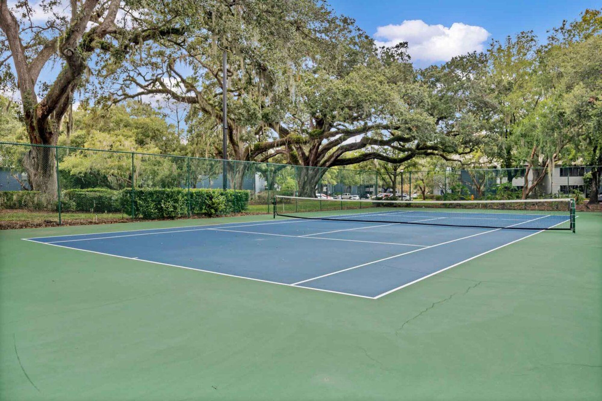 Pickleball Court