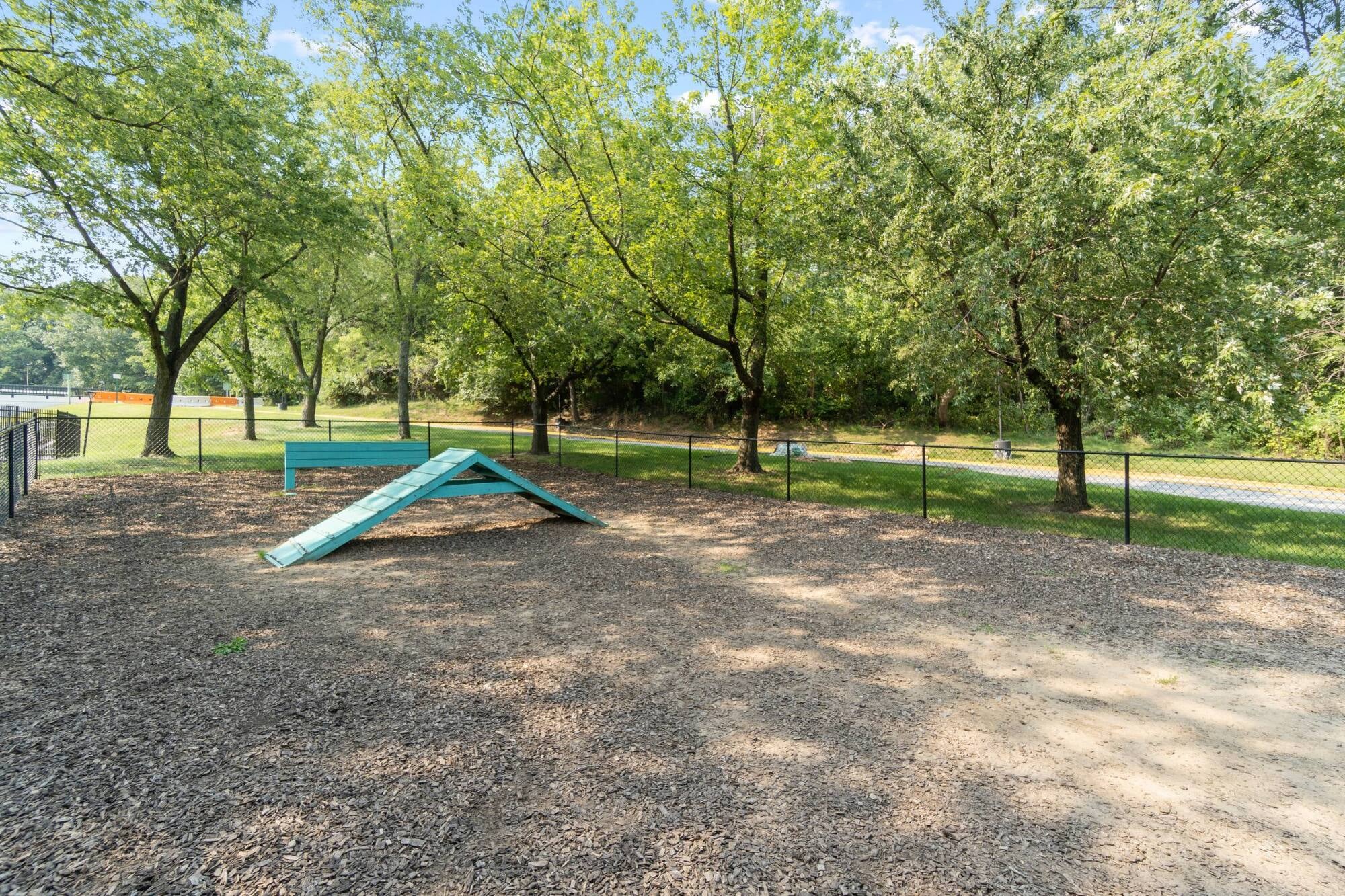 Outdoor dog park area with wood chips, a blue agility ramp, trees, and a chain-link fence on a sunny day.