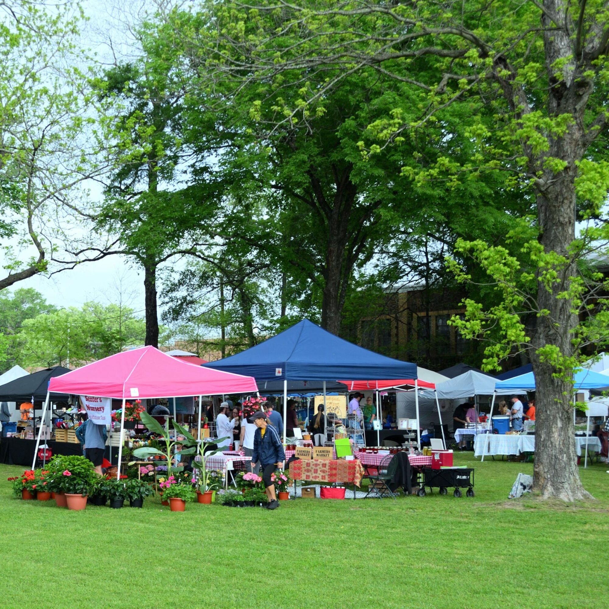 People browse stalls under colorful tents at an outdoor market with plants and trees in the background.