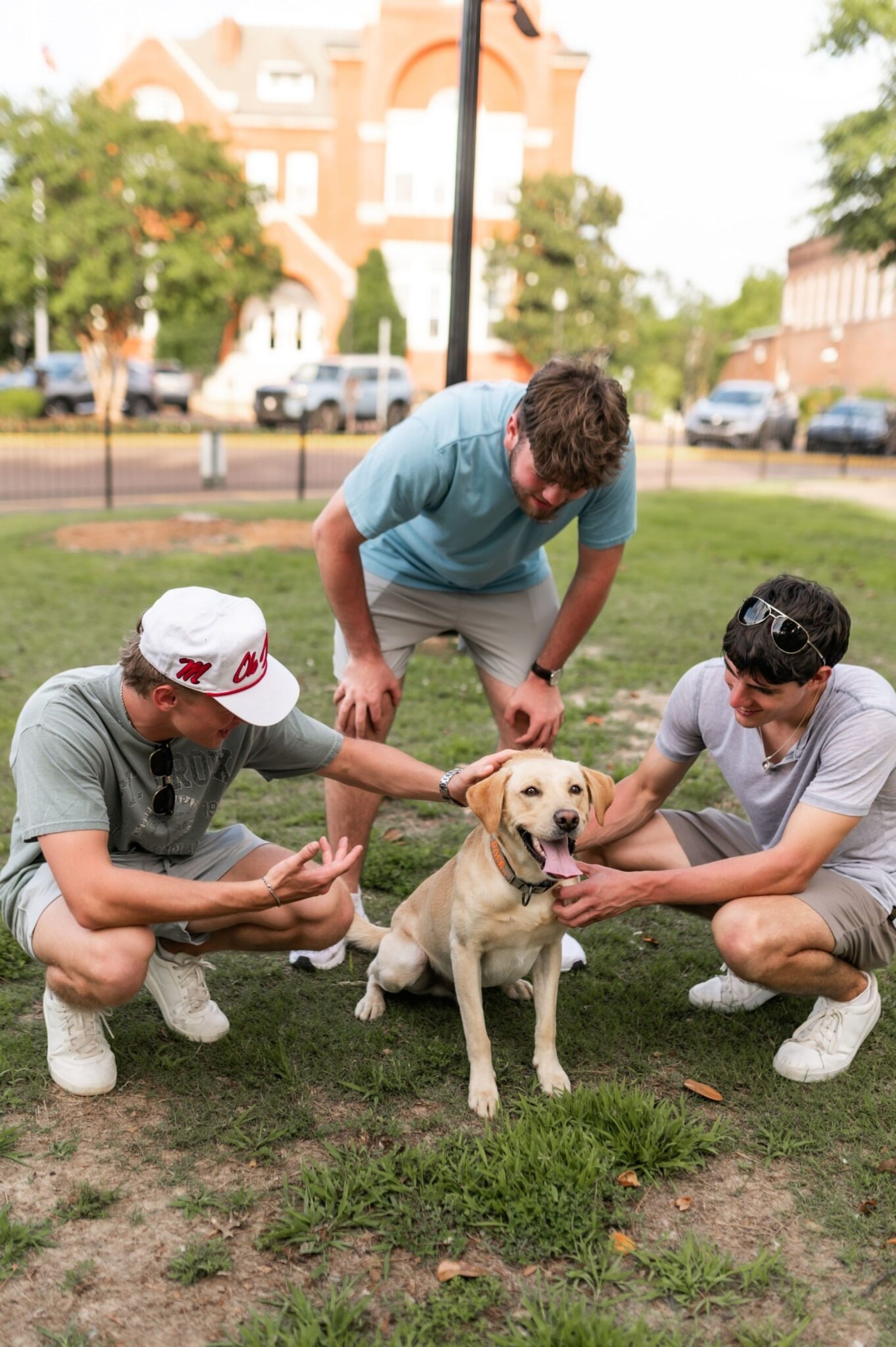 Three young men crouching on a lawn to pet a golden retriever