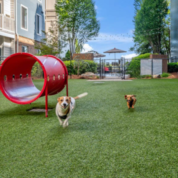 Apex West Midtown dog park