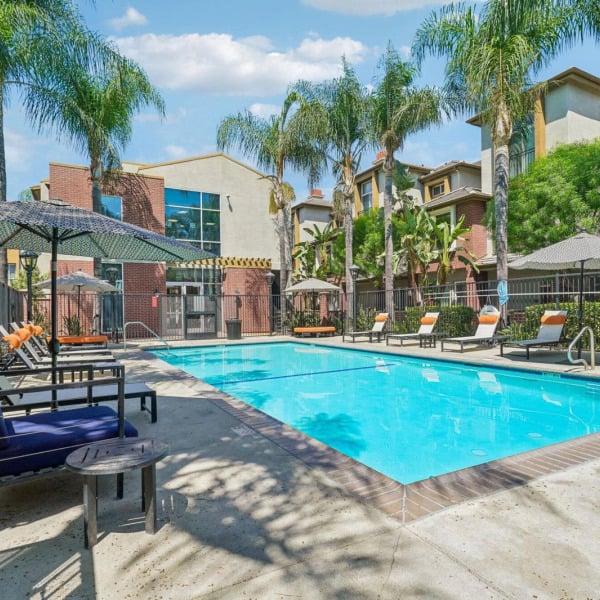 Pool patio at Ontario Town Square Townhomes in Ontario, CA, with lounge chairs, umbrellas, and mature palm trees.