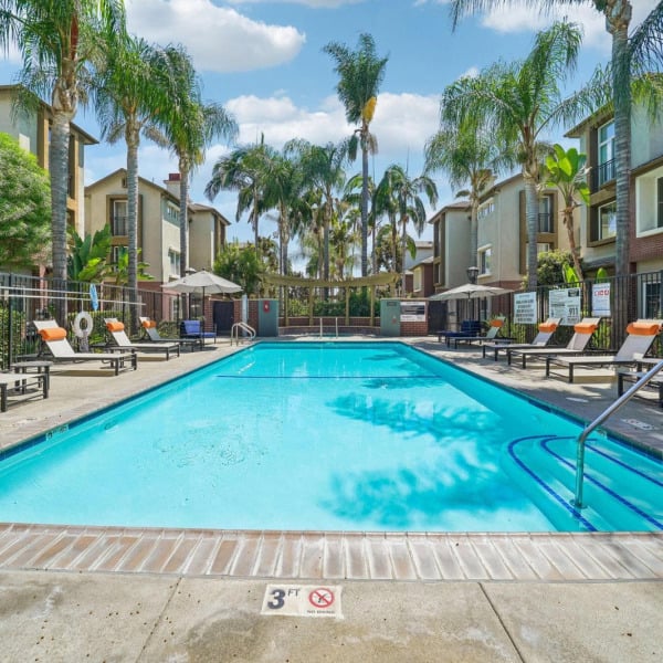 Swimming pool at Ontario Town Square Townhomes in Ontario, California, framed by palm trees and poolside lounge chairs.