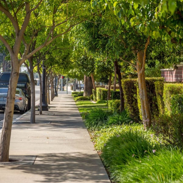 Tree-lined residential street beside Ontario Town Square Townhomes in Ontario, California.