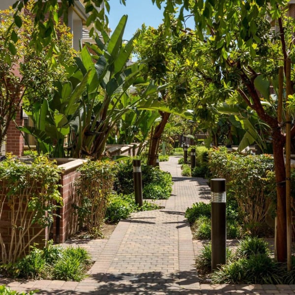 Landscaped garden walkway winding between the townhomes at Ontario Town Square Townhomes in Ontario, CA.