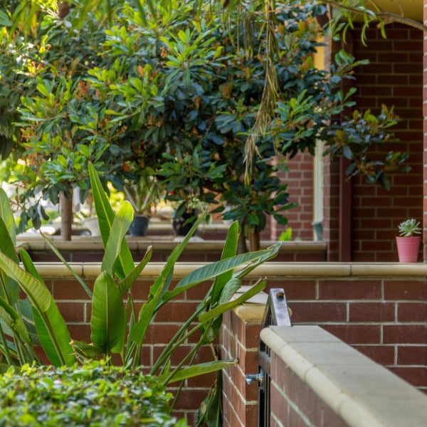 Tropical porch landscaping against brick at Ontario Town Square Townhomes in Ontario, CA.