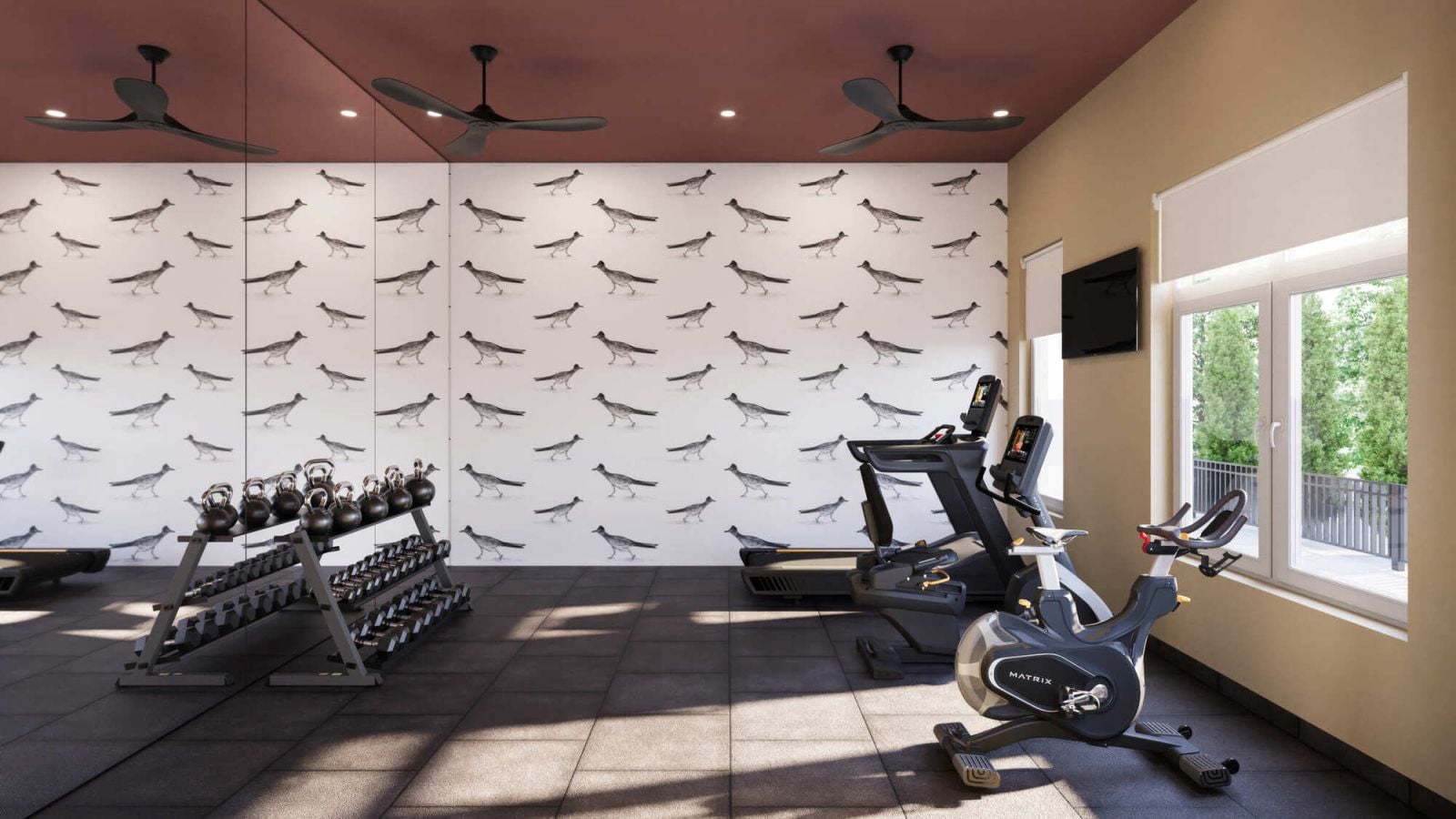 Everstone in Phoenix, Arizona, fitness center rendering with cardio equipment, strength machines, and natural light.