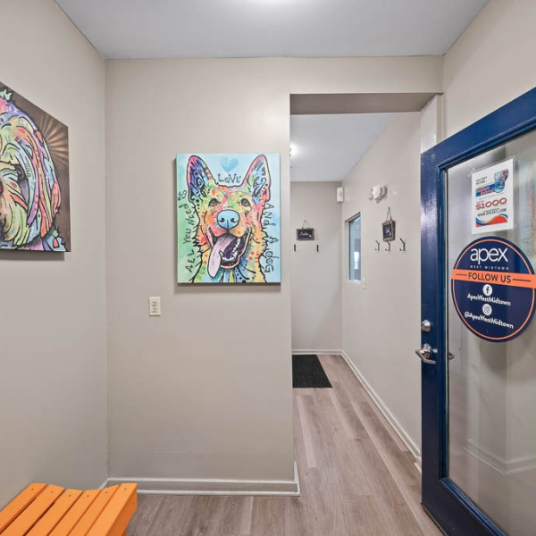 Apex West Midtown general photo