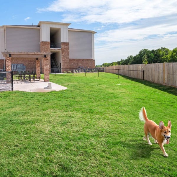 The Delta Pearland general photo