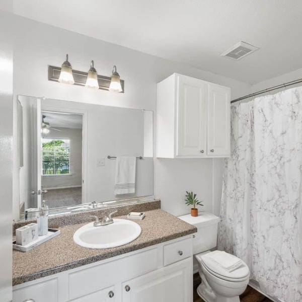 College View Apartments general photo