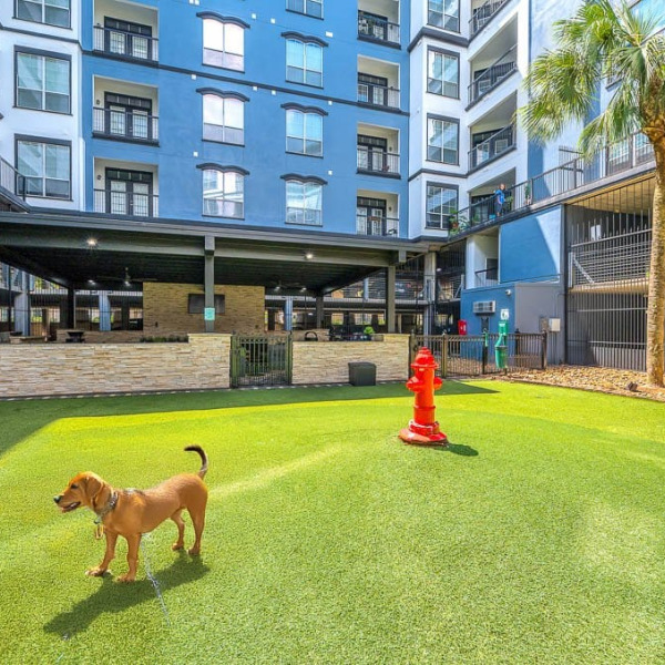 Calais Midtown general photo