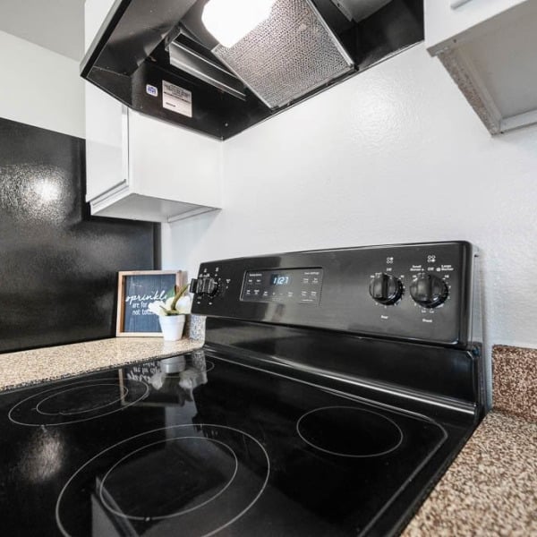 College View Apartments general photo