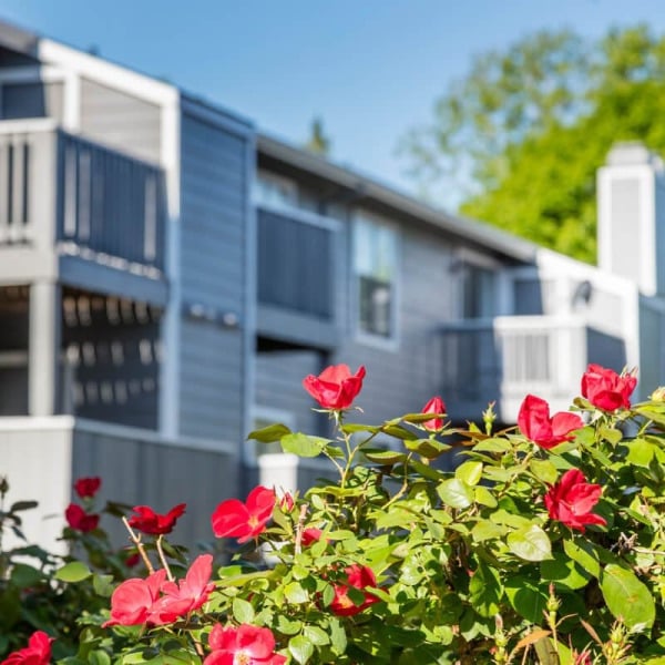 Timberlane Village Apartments general photo