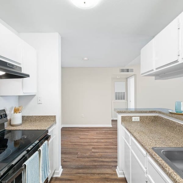 College View Apartments general photo