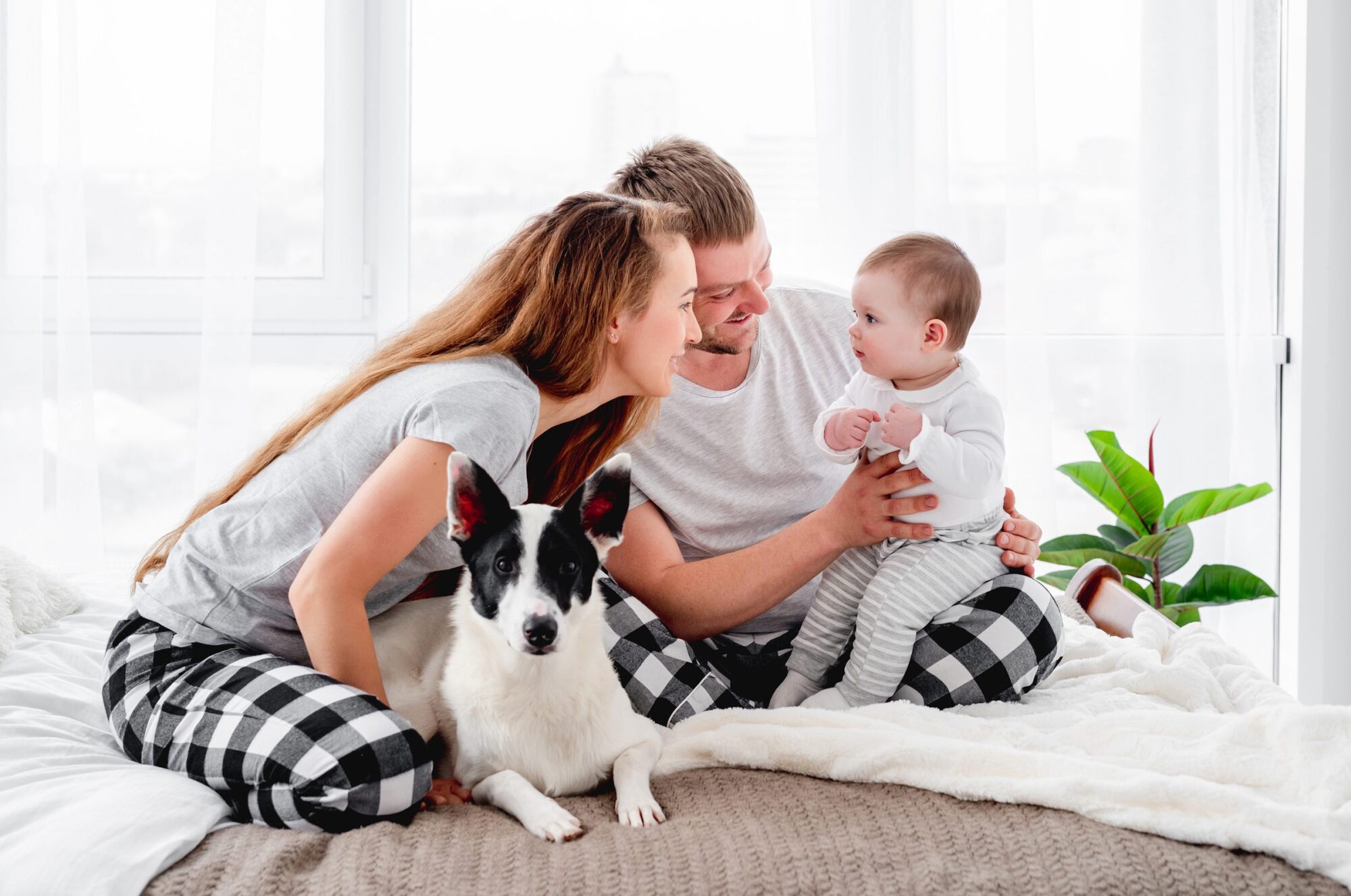 A smiling couple with a baby and a black-and-white dog sit together on a bed in a bright room.