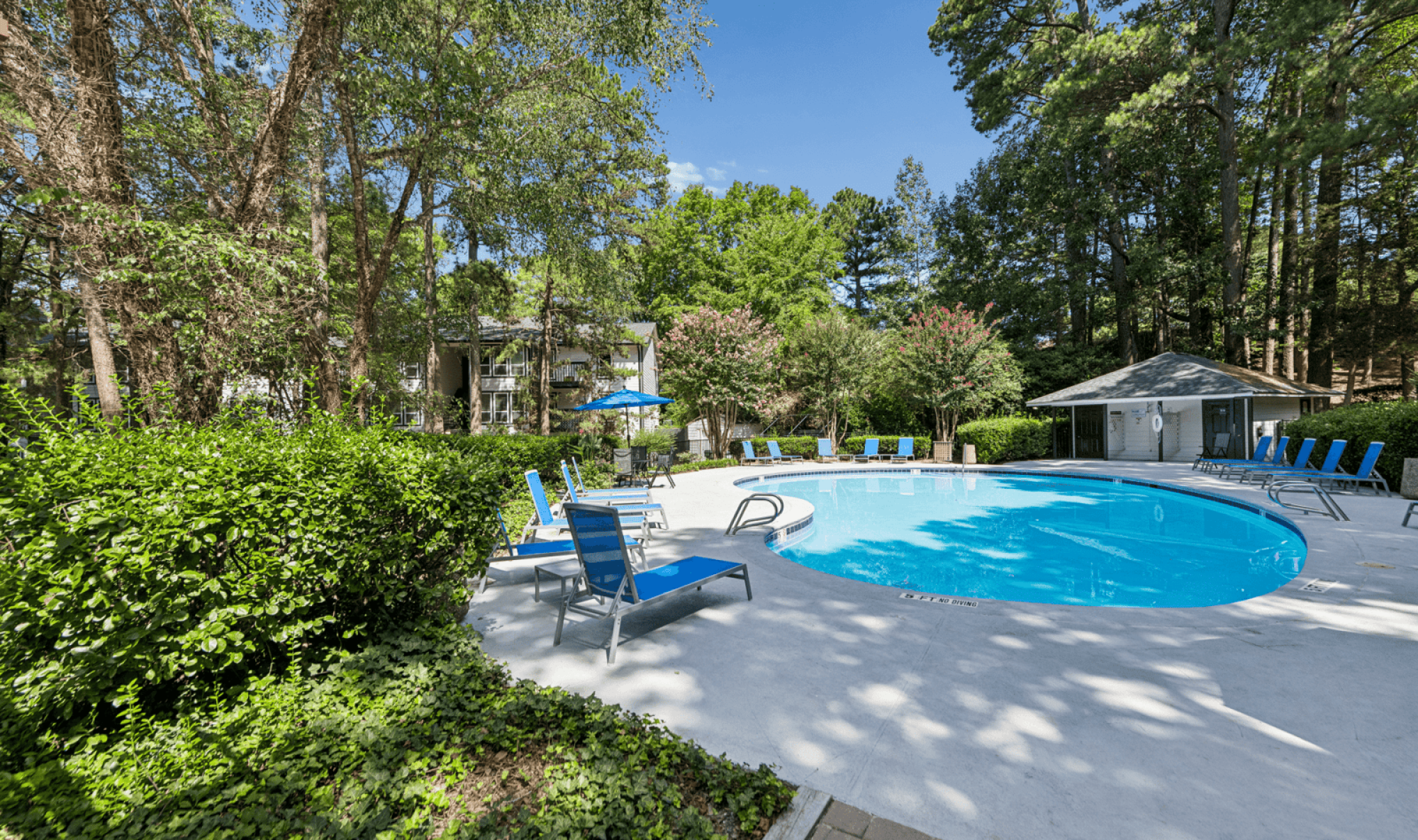 A pool surrounded by trees and chairs.