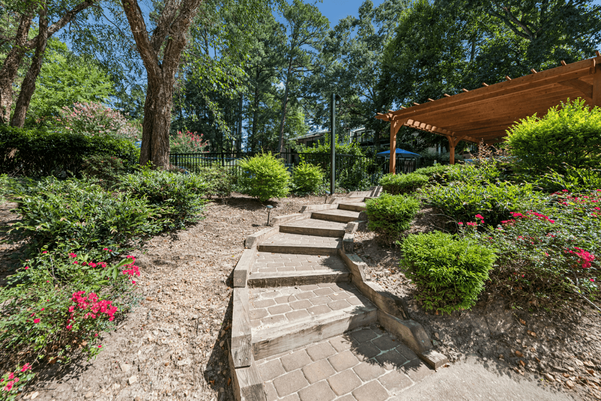 A set of stone steps lead up to a wooden pergola.