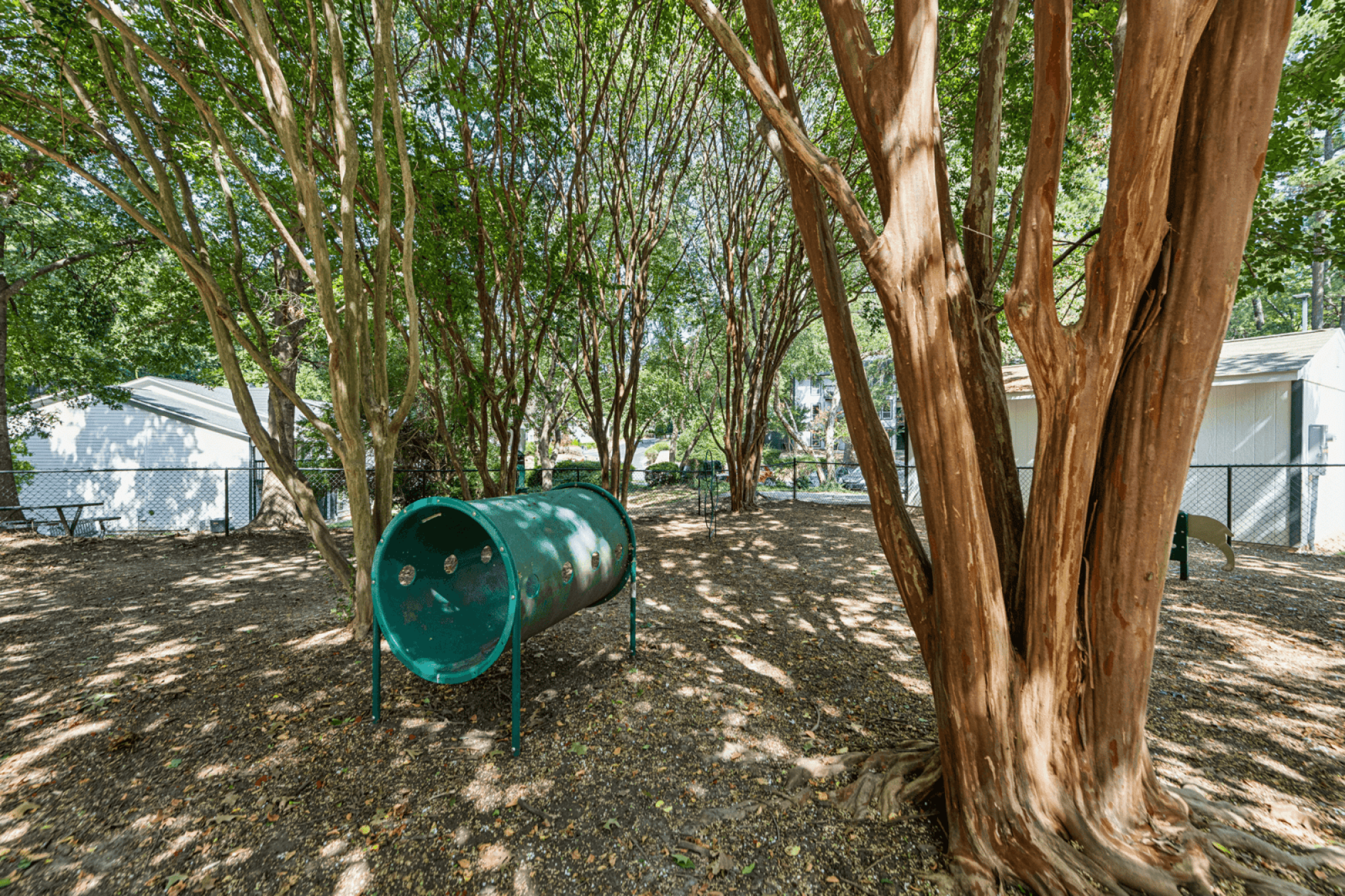 A green tunnel sits in the dog park around trees.