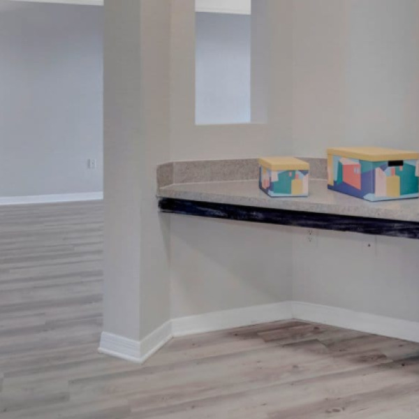 Northbridge at Millenia Lake general photo
