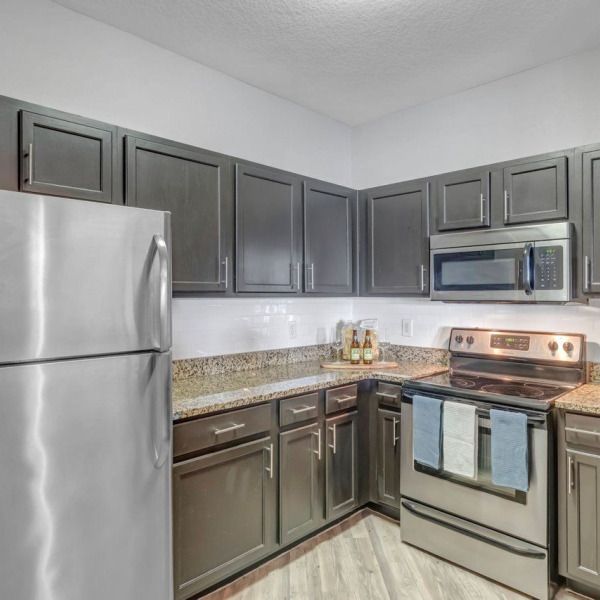 Northbridge at Millenia Lake general photo