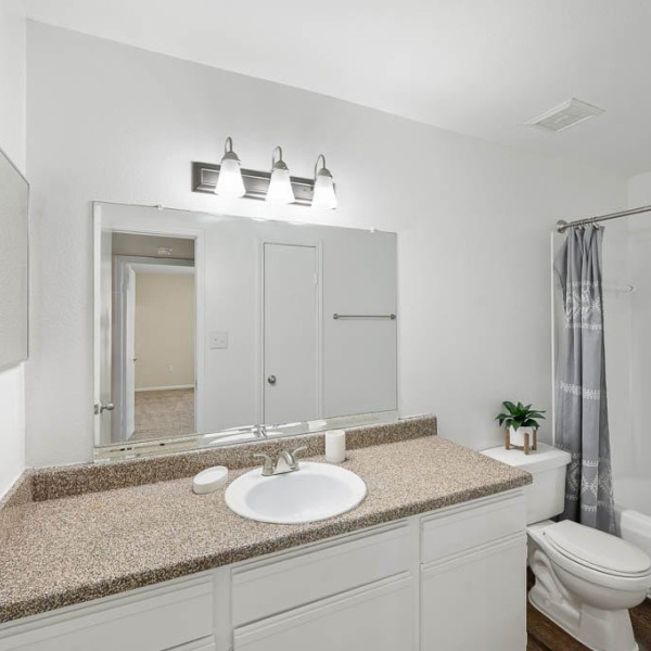 College View Apartments general photo
